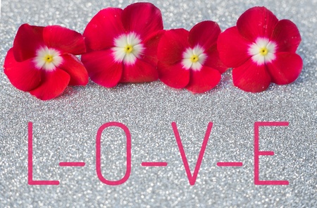 L-O-V-E words on small red flower and shiny white silver glitter backgroundの写真素材