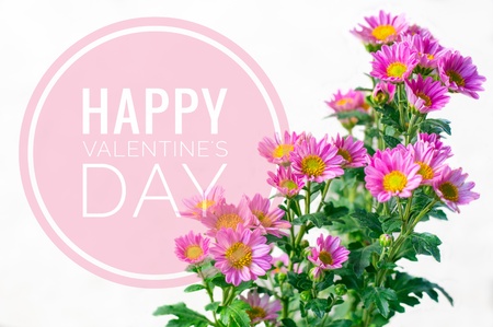 Happy valentine's day word on pink flower backgroundの写真素材