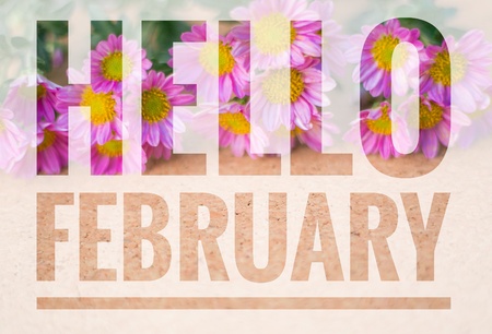 Hello February words on small pink flower and brown wood backgroundの写真素材