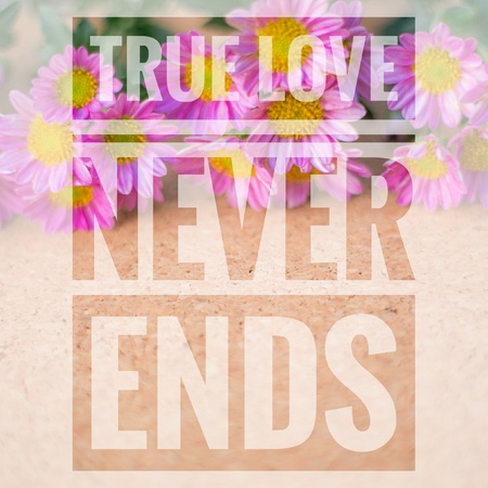 True love never ends words on pink and wooden background.の写真素材