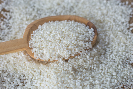 Japanese rice, Small milled riceの写真素材