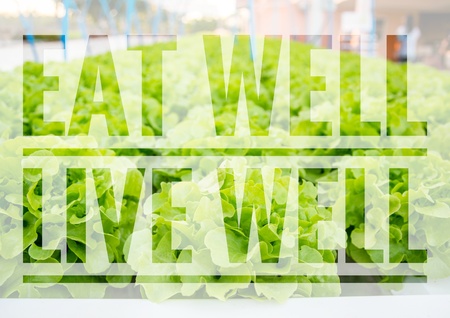 Eat well live well words on green hydroponic vegetable background.の写真素材