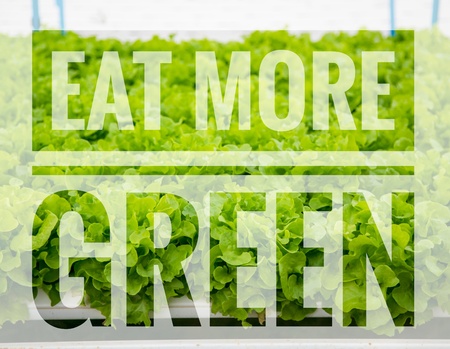 Eat more green words on green vegetable hydroponic food background.の写真素材