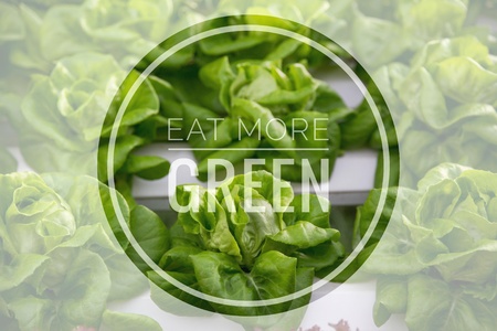 Eat more green words on green vegetable hydroponic food background.の写真素材