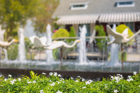White flowers plant on the fountain background.の写真素材