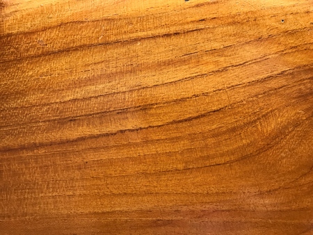 wooden background from big tree.の写真素材