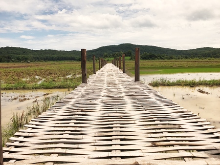 Footpath to rice field made by bamboo.の写真素材