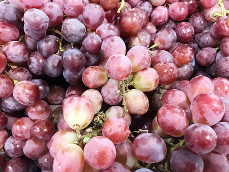 Red grapes, food and fruit background.の写真素材