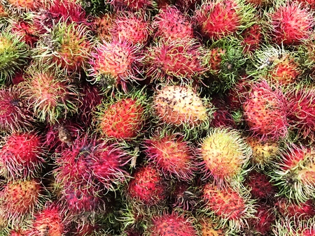 rambutan, food and fruit background.の写真素材