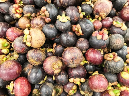 Mangosteen, , food and fruit background.の写真素材