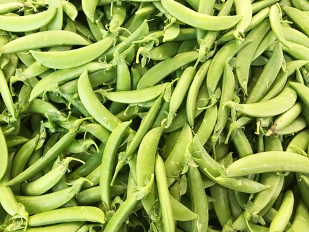 sugar pea, green peas. Green food background.の写真素材