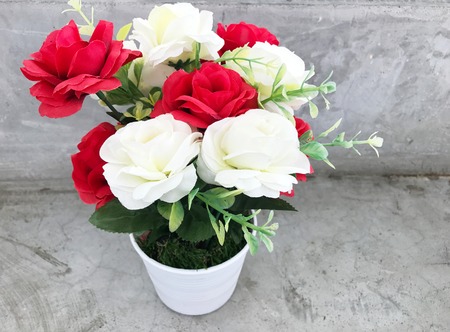 plastic roses home's decoration .の写真素材