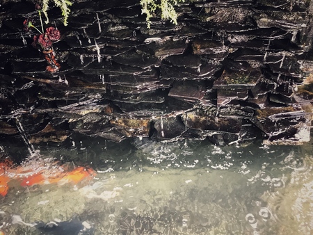 Fish tank with water fall on black stone.の写真素材