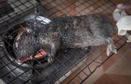 Rat in rice field cached by farmer, cooking.の写真素材