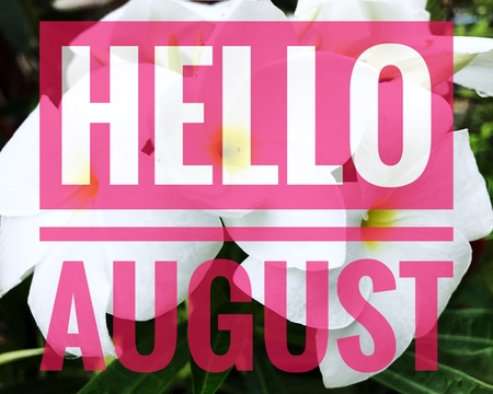 Hello August words on white flower background.の写真素材