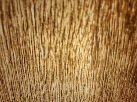 Dark brown and black wooden wall for background.の写真素材