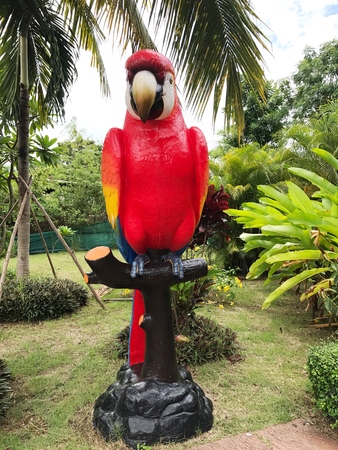 Big red Macaw parrot statue front of coffee shop.の写真素材