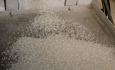 Close up of milled rice during rice mill machine working.の写真素材