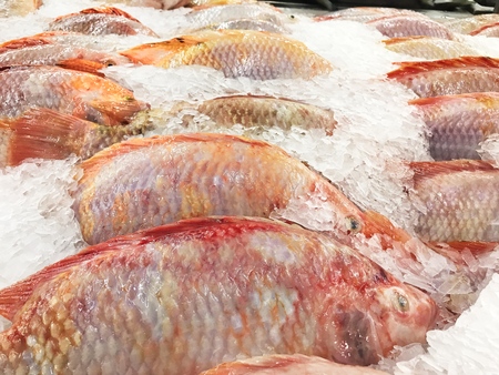 Ruby Fish. Fresh fish on ice in the market.の写真素材