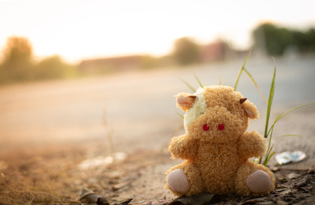 teddy bear on nature backgroundの写真素材