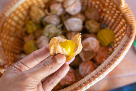 Cape gooseberry fruit , golden berry in basket and on hand.の写真素材