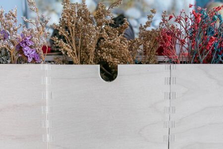 Dried flowers in wooden box.の写真素材