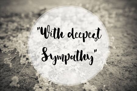With deepest sympathy note on small flower sepia tone.