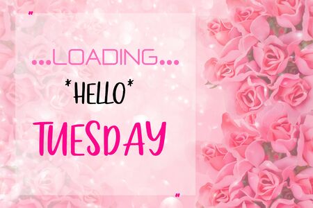 Hello Tuesday words on pink roses background.の写真素材