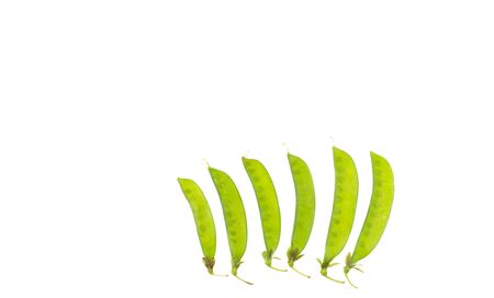 Fresh green peas isolated on a white background.