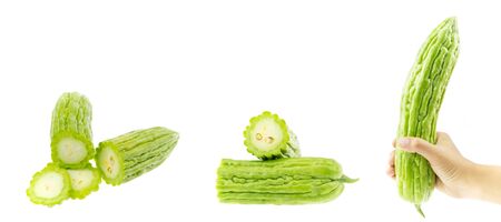Bitter melon or slice bitter gourd isolatedの写真素材