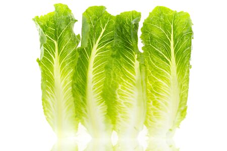 Fresh green lettuce isolated on white background. healthy food concept.の写真素材