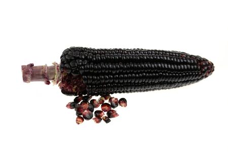 Fresh red corn isolated on white background. Grains of ripe corn black corn, purple cornの写真素材