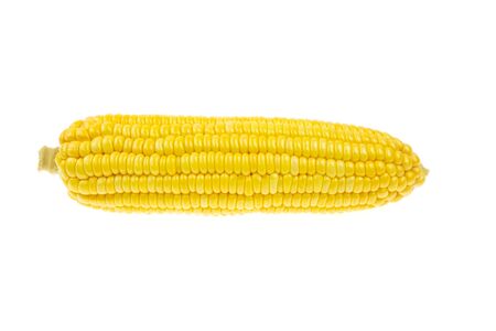 Fresh corn isolated on white background.の写真素材