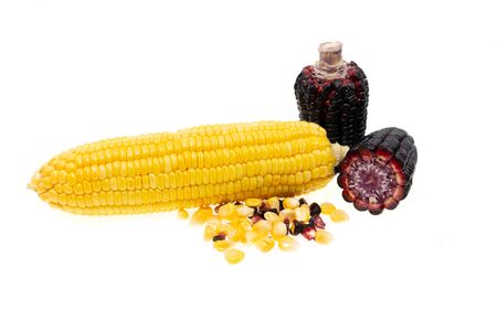 Fresh red corn isolated on white background. Grains of ripe corn with clipping path. (black, purple, yellow corn)の写真素材
