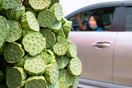 Fresh Green lotus seed pod are bind of group for sale at Thai street local market. Green lotus seeds can eat for healthy food.の写真素材