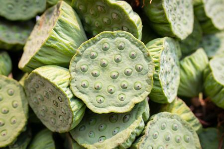 Fresh Green lotus seed pod are bind of group for sale at Thai street local market. Green lotus seeds can eat for healthy food.の写真素材