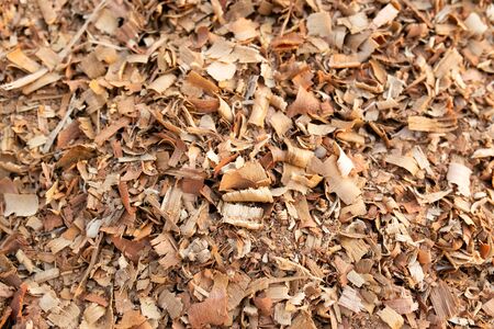 Sawdust or wood dust texture background. Wood sawdust floor texture background closeup.の写真素材