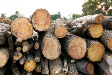 wood arranged in layers, Pile of wood logs ready for industry.の写真素材