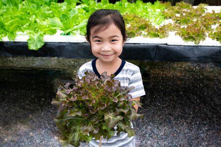 Girl with green vegetables in greenhouse farm garden.の写真素材