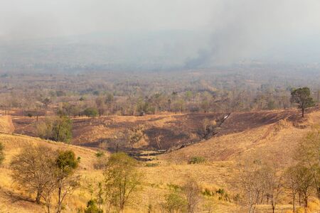 Fire in mountain forest. Aerial view forest fire and smoke on slopes hills. Natural disaster fire in Thailand.の写真素材