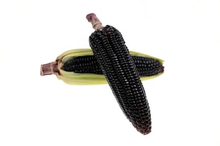 Fresh red corn. Grains of ripe cornの写真素材