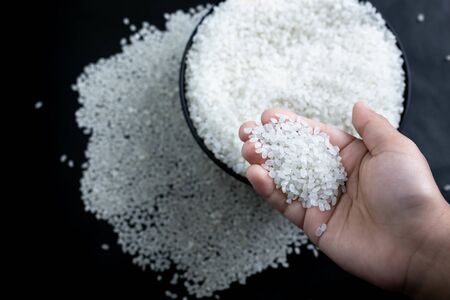 Rice used for sushi. Short Grain Sushi Koshihikari Rice. Japanese rice.の写真素材
