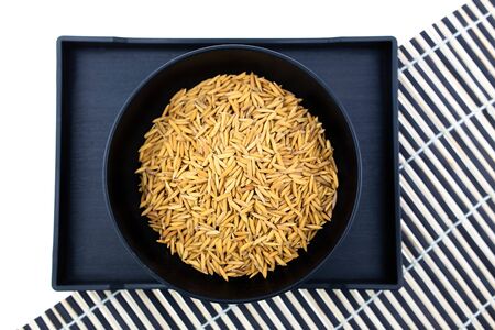 Paddy rice on white background   .の写真素材