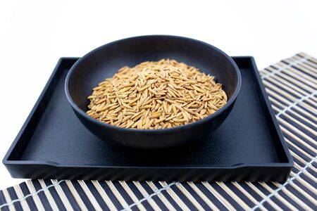 Paddy rice on white background   .の写真素材