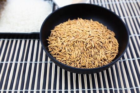 Paddy rice and rice on white background   .の写真素材
