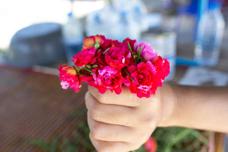 Two tone color of Grandiflora, japanese rose or Mose Rose. Beautiful sun plant.
