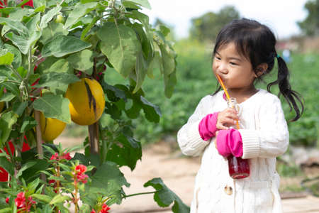 little child picking and eating strawberries.の写真素材