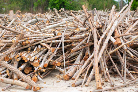 A pile of stacked firewood, prepared for heating the house. Firewood harvested for heating in winter.の写真素材