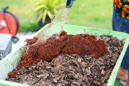 person planting plants in the garden.