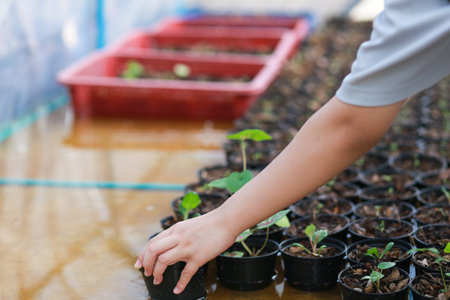 person planting plants in the garden.の写真素材